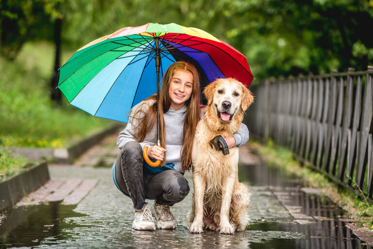 Why Must Walking Shelter dogs